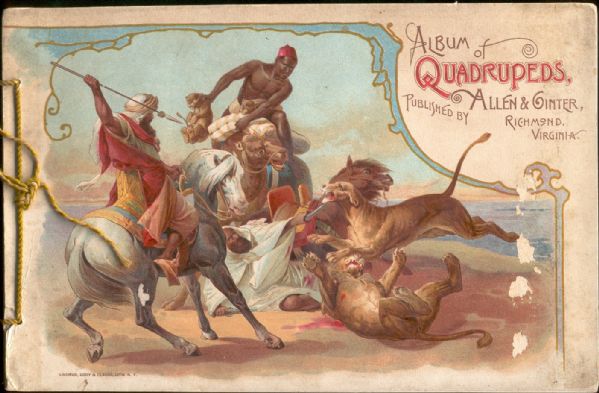 1890 A11 – Allen & Ginter Tobacco Album- “Quadrupeds”