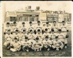 1941 Toledo Mud Hens Team Picture- 8” x 10- Black & White