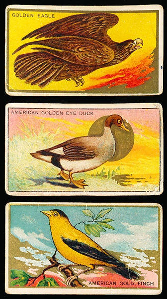 1910’s Mecca Cigarettes “Bird Series” (T42) of 100- 37 Diff.