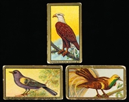 1910’s Mecca Cigarettes Gold Edged “Bird Series” (T42) of 100- 40 Diff.