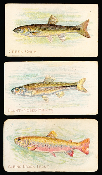 1910’s Sweet Caporal “Fish Series” (T58) Series of 100- 14 Diff. + 2 Diff. “Piedmont” Backs