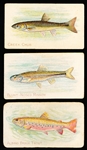 1910’s Sweet Caporal “Fish Series” (T58) Series of 100- 14 Diff. + 2 Diff. “Piedmont” Backs