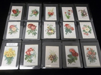 Early 1910’s Imperial Tobacco Silk “Garden Flowers” (SC7) Complete Numbered Set of 55