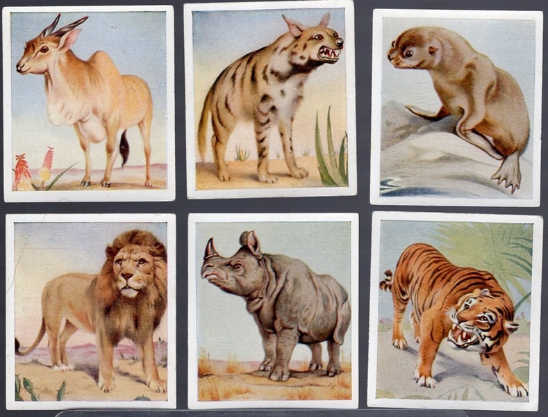 1936 Godfrey Phillips Ltd. “Animal Studies”- 1 Complete Set of 30 Cards