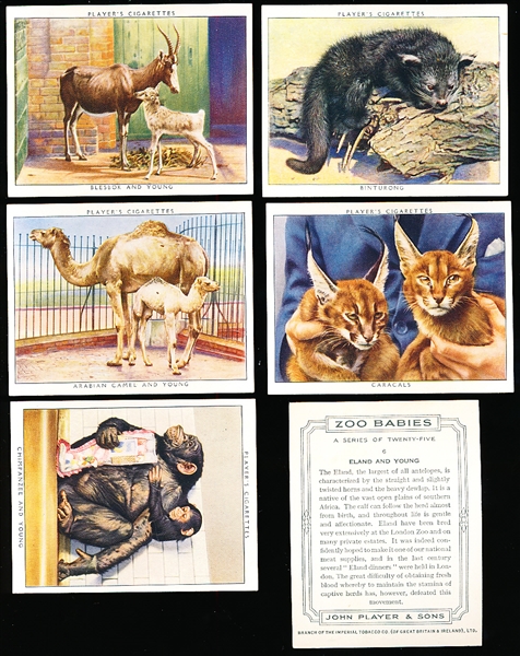1938 John Player “Zoo Babies” Non-Sports- 1 Complete Set of 25 Cards