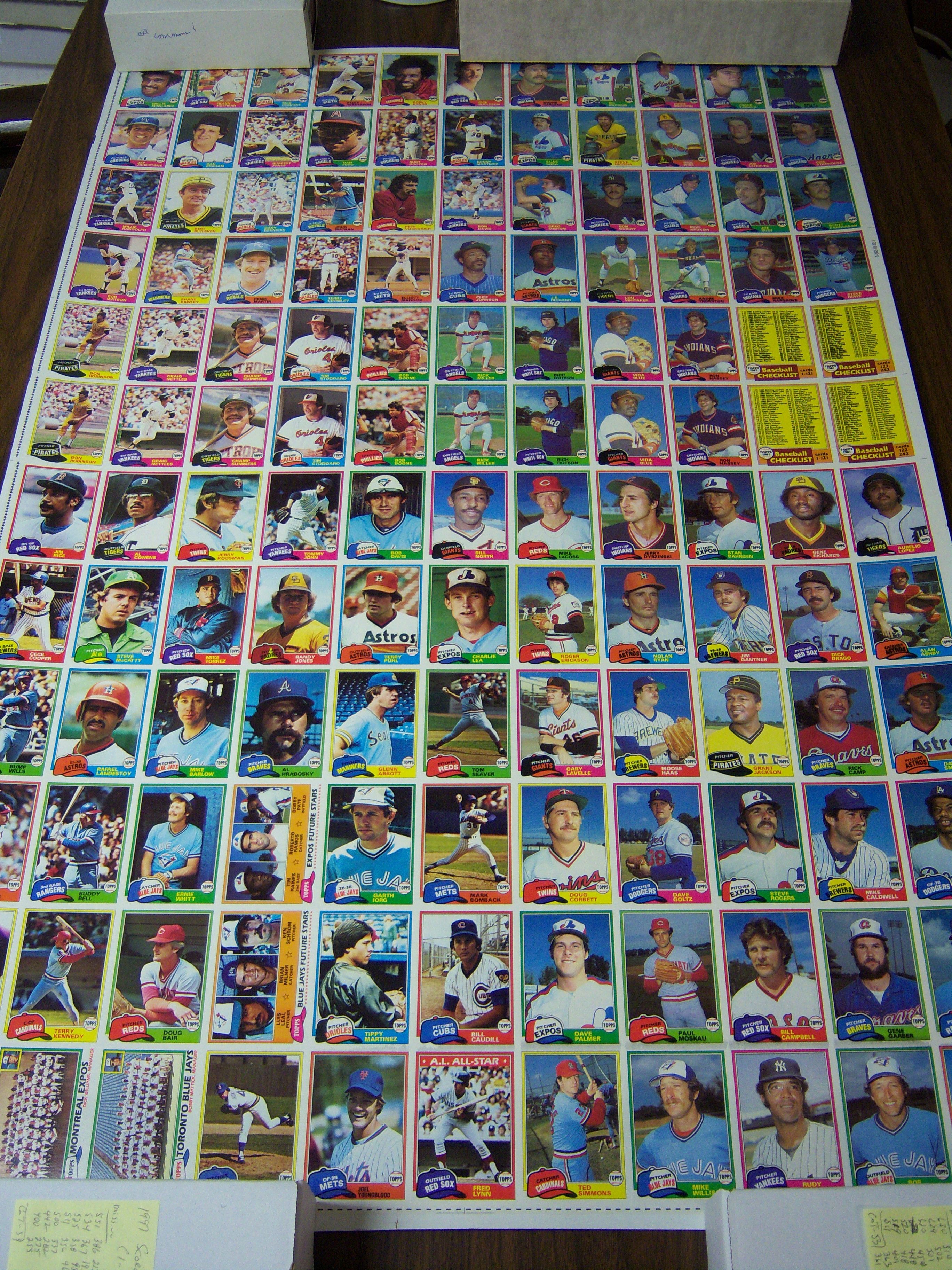 Donruss baseball cards rare uncut card sheet 1981 – Fastball Collectibles