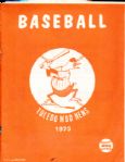 1973 Toledo Mud Hens Programs(2)