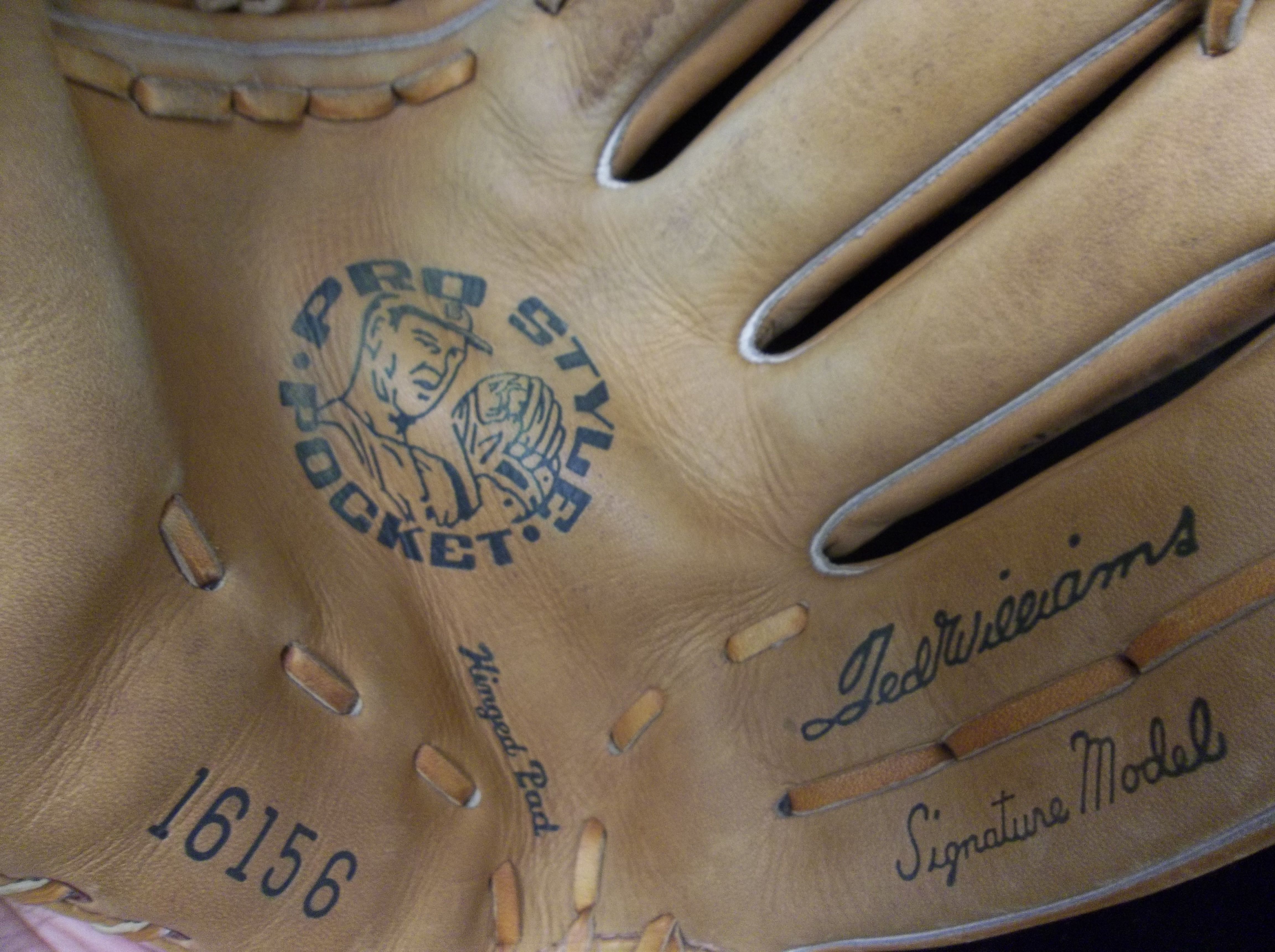 Ted williams sears 2024 roebuck baseball glove