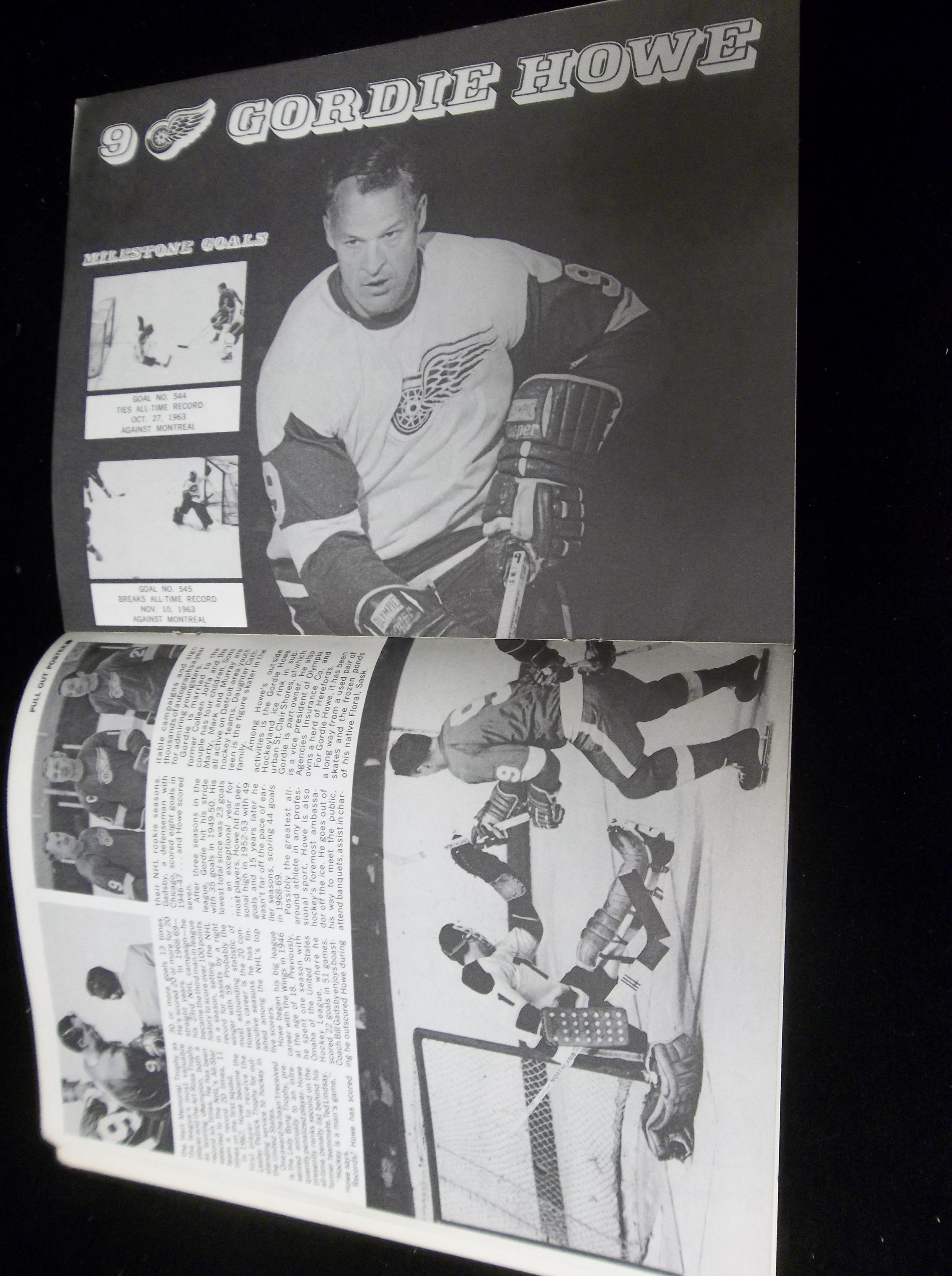Gordie Howe 1969 Detroit Red Wings Classic Premium Poster Print