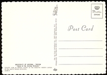 Dexter Press “32286-D: University of Arizona- McKale Center- Tucson” Deckle Edged Chrome Postcard