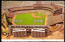 St. Marie’s Gopher News Co. “M-544, 10x111291- Home of the Minnesota Twins, Vikings” Deckle Edged Chrome Postcard