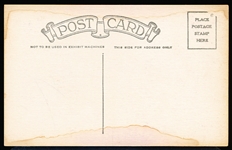 1924 “Mary Pickford in Dorothy Verdon of Haddon Hall” Postcard-Backed Pink Tint Exhibit Card