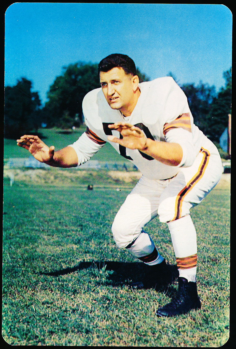 Lot Detail - 1955 Cleveland Browns NFL Giant Postcard- Don Colo