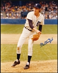 Autographed Mark Fidrych Detroit Tigers MLB Color 8” x 10” Photo