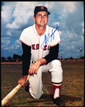 Autographed Carl Yastrzemski Boston Red Sox MLB Color 8” x 10” Photo