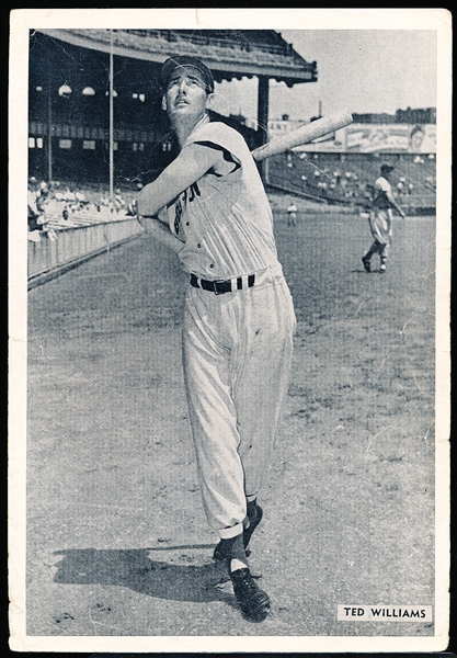 1954 All-Star Photo Pack MLB- Ted Williams