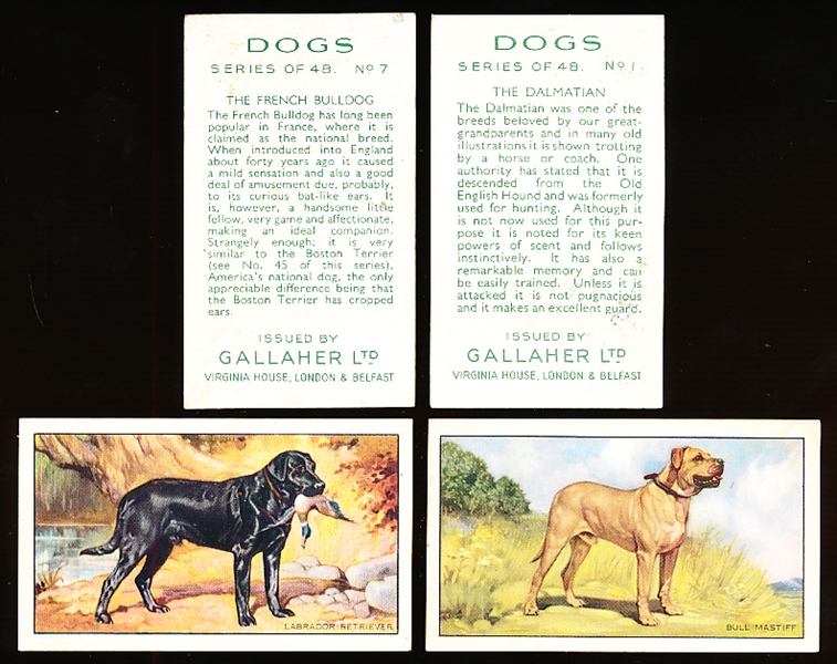 1936 Gallaher “Dogs” Non-Sports- 1 Complete Set of 50 Cards