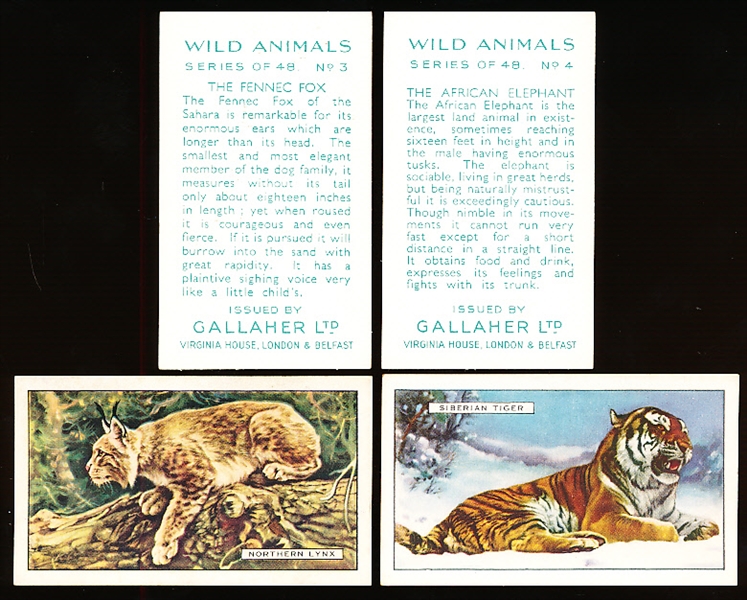 1937 Gallaher “Wild Animals” Non-Sports- 1 Complete Set of 48 Cards