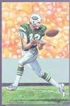 1993 Goal Line Art Football Hall of Fame Cards- #136 Don Maynard, Jets- 21 Cards
