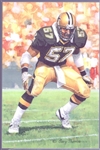 2010 Goal Line Art Football Hall of Fame Cards- #255 Rickey Jackson, Saints- 35 Cards