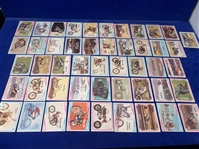 1972 Donruss “Choppers & Hot Bikes Near Set- 61 of 66